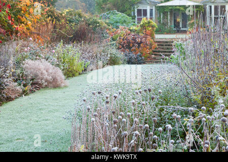 Hall Farm Garden, Harpswell, Lincolnshire, Royaume-Uni. L'automne, novembre 2017. Banque D'Images