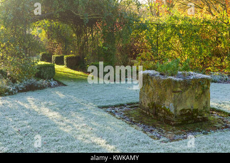 Hall Farm Garden, Harpswell, Lincolnshire, Royaume-Uni. L'automne, novembre 2017. Banque D'Images