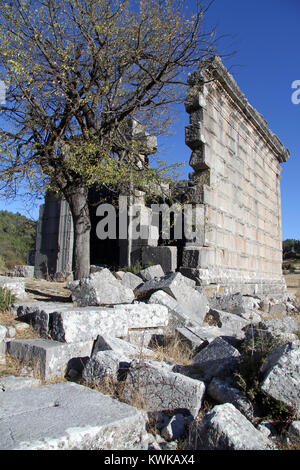 Arbre et ruines de l'antique temple de Adada, Turquie Banque D'Images