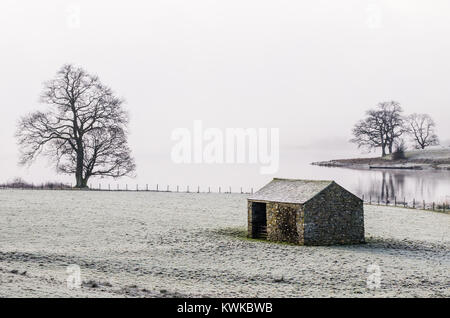 Un froid matin d'hiver sur scène Esthwaite Water avec peu d'arbres sur les rives du lac, cabane de pierres et de brume masquant tout à l'arrière-plan. Banque D'Images