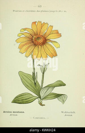 *Nouvelle flore coloriée de poche* est un guide botanique présentant des illustrations colorées d'espèces végétales originaires des Alpes et Pyrénées françaises, mettant en valeur la diversité de la flore de la région. Banque D'Images