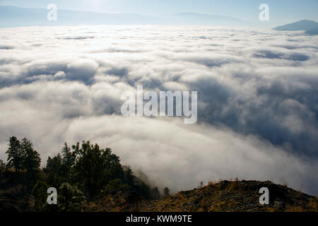 Au-dessus des nuages de brouillard lever du soleil du matin de la tête de géant situé dans la montagne de Summerland, Colombie-Britannique, Canada. Banque D'Images