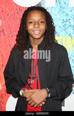 Los Angeles, CA, USA. 3 janvier, 2018. Michael Epps, au 29e première de Showtime's "le Chi" au centre-ville d'indépendants dans Los Angeles, Californie le 3 janvier 2018. Credit : Faye Sadou/media/Alamy Punch Live News Banque D'Images