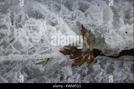 Davenport, Iowa, États-Unis. 28 Dec, 2016. Une feuille est vu jeter dans une section fissurée de glace le long de l'eau à l'île de crédit dans la région de Davenport le Mercredi, Décembre 28, 2016. La glace et la neige continue de fondre comme Quad-City région temps exceptionnellement doux. Credit : Andy Abeyta/Quad-City Times/ZUMA/Alamy Fil Live News Banque D'Images