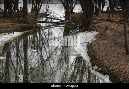 Davenport, Iowa, États-Unis. 28 Dec, 2016. Les branches sont vue reflétée dans un ruisseau de la rivière Mississippi, à l'île de crédit dans la région de Davenport le Mercredi, Décembre 28, 2016. La glace et la neige continue de fondre comme Quad-City région temps exceptionnellement doux. Credit : Andy Abeyta/Quad-City Times/ZUMA/Alamy Fil Live News Banque D'Images