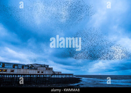 Pays de Galles Aberystwyth UK, jeudi 04 janvier 2018 UK Weather : Comme le temps devient plus froid après la tempête Eleanor, troupeaux de dizaines de milliers d'étourneaux reviennent de leur territoire d'alimentation pour effectuer leur murmurations dans le ciel avant de descendre au perchoir sous l'Aberystwyth station distinctif pier les oiseaux se serrent fermement ensemble pour la chaleur, la sécurité et la compagnie du jour au lendemain, couvrant chaque pouce de rechange de la forêt de poutres et chevrons sous le plancher de la jetée. Crédit photo : Keith Morris/Alamy Live News Banque D'Images