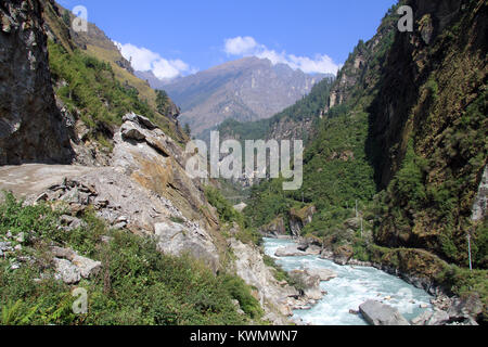 Route sur le sentier de la rivière et de l'Annapurna au Népal Banque D'Images