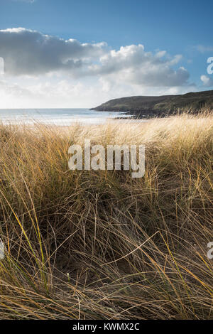 Belle image paysage de l'Ouest Eau douce plage de sable avec des dunes dans la région de Pembrokeshire Wales Banque D'Images