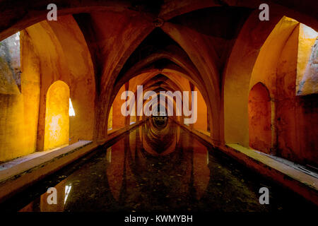 Intérieur impressionnant des bains de Maria de Padilla à l'Alcazar de Séville palais royal de Séville, Espagne Banque D'Images