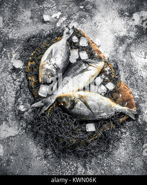 Poisson frais Dorado avec des cubes de glace. Sur un fond rustique. Banque D'Images