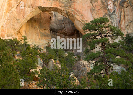 La Ventana Arch, Cebolla Désert, El Malpais National Conservation Area, Nouveau Mexique Banque D'Images