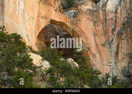 La Ventana Arch, Cebolla Désert, El Malpais National Conservation Area, Nouveau Mexique Banque D'Images