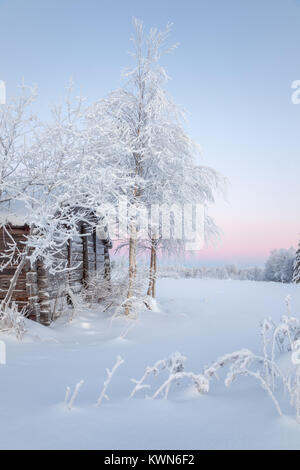 Chalet en bois avec deux bouleaux enneigés en face. Banque D'Images