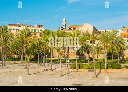 Parc de la Mar, Palma, Majorque, îles Baléares, Espagne Banque D'Images