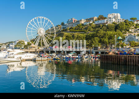 Matin sur le port de Torquay, Devon, Angleterre. Août 2017 Banque D'Images