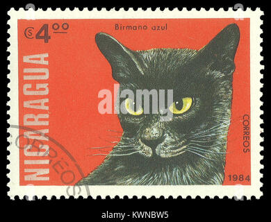 Nicaragua - timbres en 1984, édition d'animaux, mammifères, chats, Série Bleu Birman, Felis silvestris catus Banque D'Images