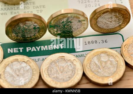 Paiement net sur une fiche de salaire par un neuf pièces livre Banque D'Images