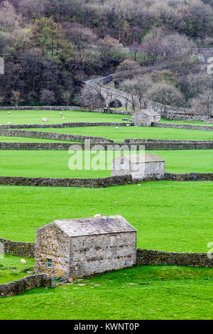 3 granges, avec des champs délimités par des murs de pierres sèches typique, menant à un pont routier sur la rivière Swale près du village de Gunnerside. Banque D'Images