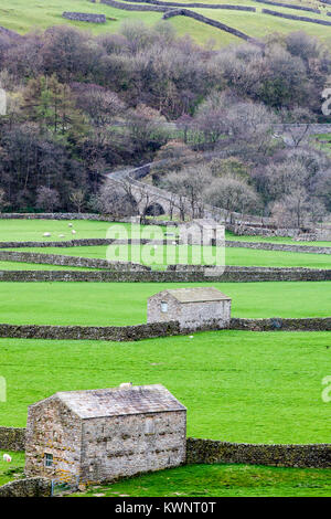 3 granges, avec des champs délimités par des murs de pierres sèches typique, menant à un pont routier sur la rivière Swale près du village de Gunnerside. Banque D'Images