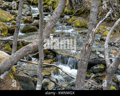 Stream ci-dessous Glaciar Martial ; le mont Krund ; Cerro Castor ; Argentine Banque D'Images