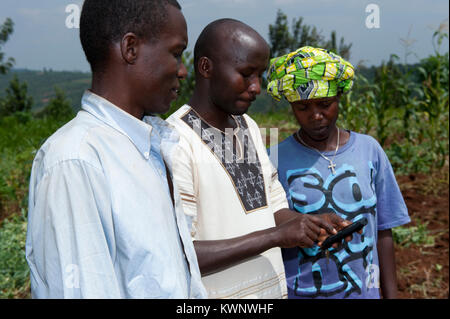 Couple rwandais dans la zone contrôle de téléphone mobile pour la mise à jour des prix des cultures. Le Rwanda. Banque D'Images