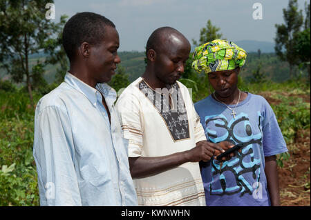 Couple rwandais dans la zone contrôle de téléphone mobile pour la mise à jour des prix des cultures. Le Rwanda. Banque D'Images