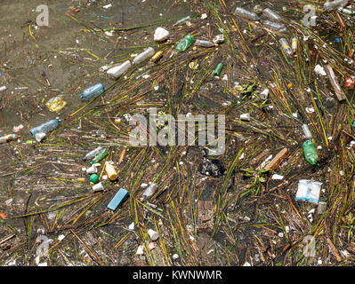 La pollution, les déchets ; déchets ; déchets flottant dans l'Océan Atlantique le long de la côte près de l'Aeroparque Jorge Newbery de Buenos Aires ; Argentine ; Banque D'Images