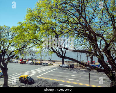 Vue extérieure printemps des arbres à feuilles vert frais à l'Aeroparque Jorge Newbery de Buenos Aires ; Argentine ; Banque D'Images