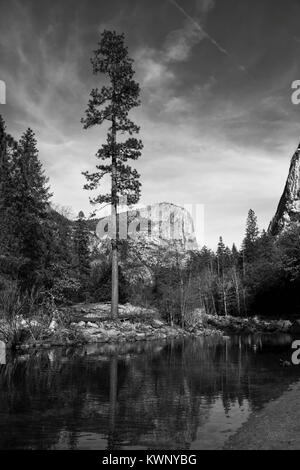 Arbre Séquoia noir et blanc avec le lac et les montagnes Banque D'Images