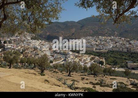 Colline sacrée ville islamique de Moulay Idriss. Le Maroc, l'Afrique du Nord Banque D'Images