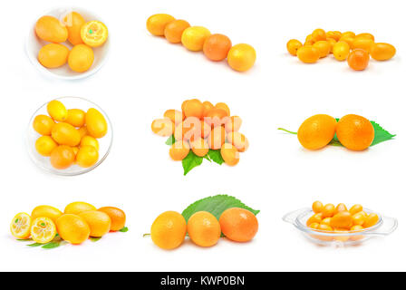 Ensemble de cumquats sur fond blanc Banque D'Images