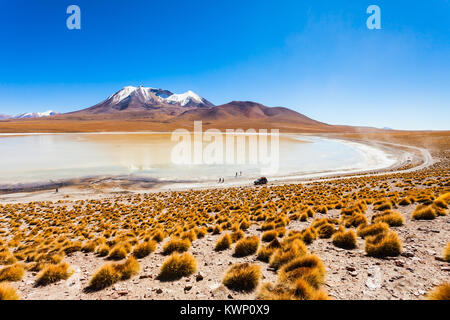 Laguna Canapa est un lac salé dans l'Altiplano de Bolivie Banque D'Images