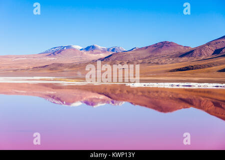 La Laguna Colorada, signifie Red Lake est un lac de sel peu profond dans le sud-ouest de l'Altiplano de Bolivie Banque D'Images