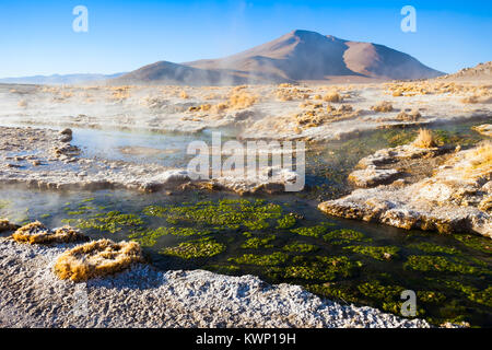 Hot Spring dans l'Altiplano de Bolivie Banque D'Images