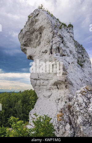 Rochers près de château en village Ogrodzieniec Podzamcze, Jura polonais dans la région de voïvodie de Silésie Pologne du sud Banque D'Images