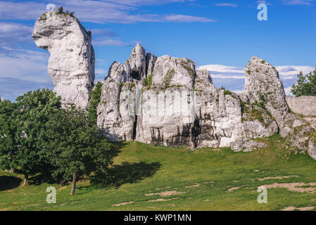 Les roches en forme de chameau à côté de ruines de château d'Ogrodzieniec Podzamcze, village en partie de nids d'Aigles château système en voïvodie de Silésie de Pologne Banque D'Images