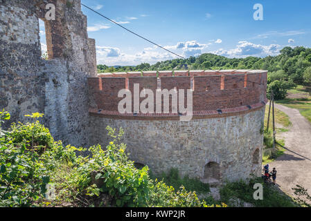 Ruines du château de Rudno Tenczyn village sur la piste du nid d'aigles dans Lesser Poland Voivodeship de Pologne Banque D'Images