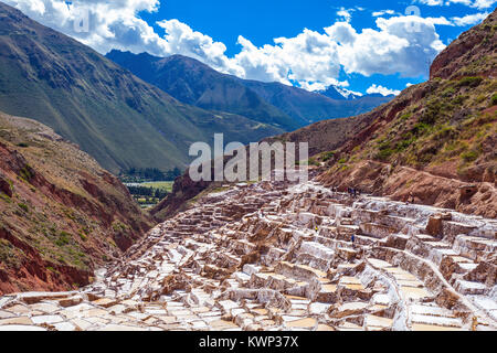 Le sel de l'évaporation de l étang à Maras (Salinas de maras) près de Cusco, Pérou Banque D'Images