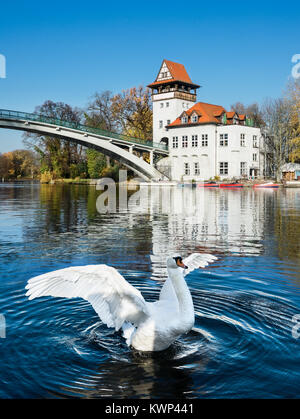 Les ailes sur les volets White Swan River Spree à Treptower Park, Berlin, Allemagne Banque D'Images