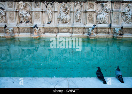 Fonte Gaia fontaine sur la Piazza del Campo dans le centre historique de Sienne dans la liste du patrimoine mondial par l'UNESCO à Sienne, Toscane, Italie. 4 août 2016 © Wojciech Banque D'Images