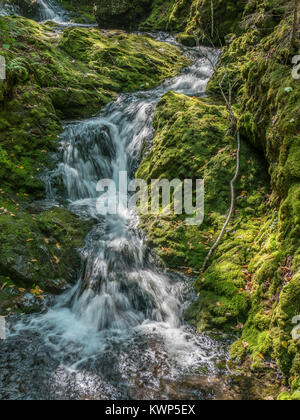 Dixon Brook, le Parc National de Fundy, la baie de Fundy, Nouveau-Brunswick, Canada. Banque D'Images