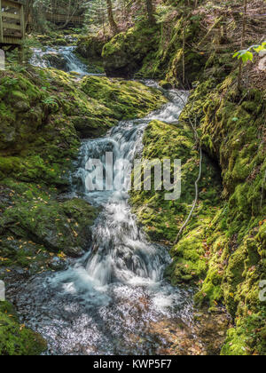 Dixon Brook, le Parc National de Fundy, la baie de Fundy, Nouveau-Brunswick, Canada. Banque D'Images