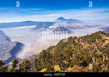 Bromo, Batok et Semeru volcans, l'île de Java, Indonésie Banque D'Images