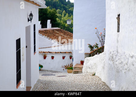 El Acebuchal, un village blanc ou peublo blanco, dans la région de l'Andalousie à l'est de Malaga. Une fois abandonné, le village a été récemment restauré. Banque D'Images