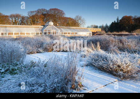 Scampston jardin clos, North Yorkshire, UK. L'hiver, décembre 2017. Un jardin contemporain de 2 hectares conçu par Piet Oudolf. Banque D'Images