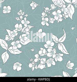 Fleurs de jasmin vecteur de couleur motif transparent sur fond bleu Illustration de Vecteur