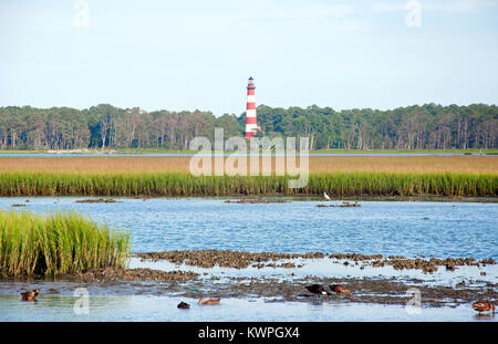 Assateague Island Lighthouse, Virginie Banque D'Images