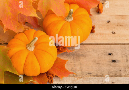 Deux mini-citrouilles et feuilles d'automne sur fond de bois Banque D'Images