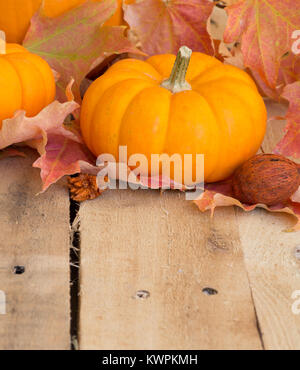 Citrouille Mini et coloré de l'automne les feuilles sur la surface du bois Banque D'Images