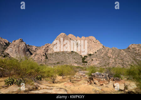 Mendoza, Coyote Canyon sauvage, montagnes, désert de Sonora, en Arizona, USA, Banque D'Images